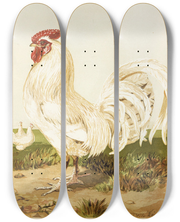 Triptych art skateboard deck of Harrison Weir White Dorking by Harrison Weir (1824-1906)