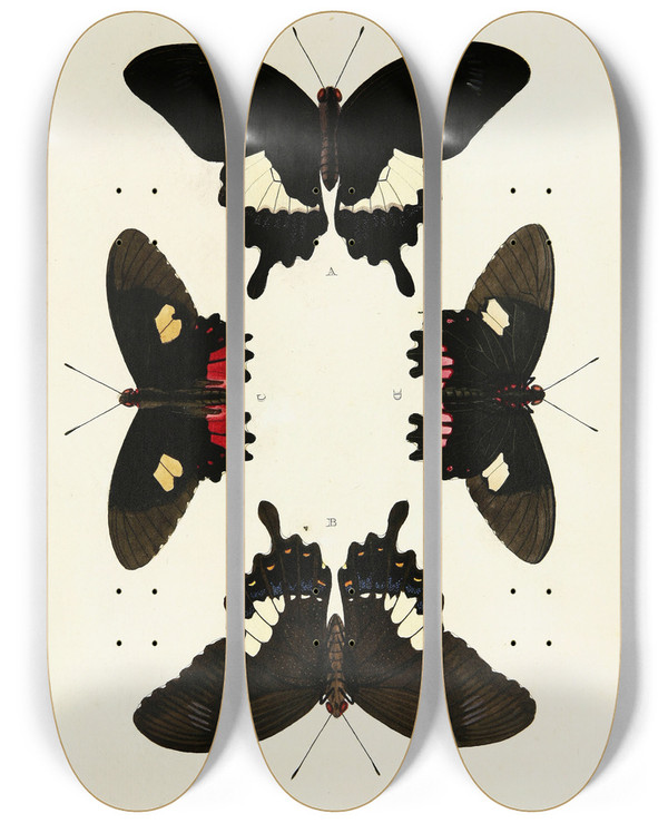 Triptych art skateboard deck of Pieter Cramer Foreign Butterflies Occurring In The Three Continents Asia Africa And America Pl084 by Pieter Cramer (1721-1776)