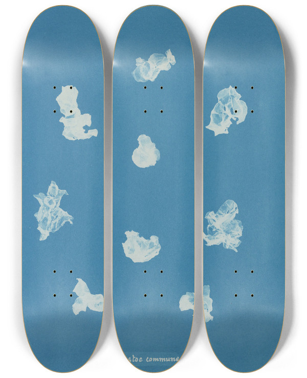 Triptych art skateboard deck of Anna Atkins Nostoe Commune by Anna Atkins (1799-1871)