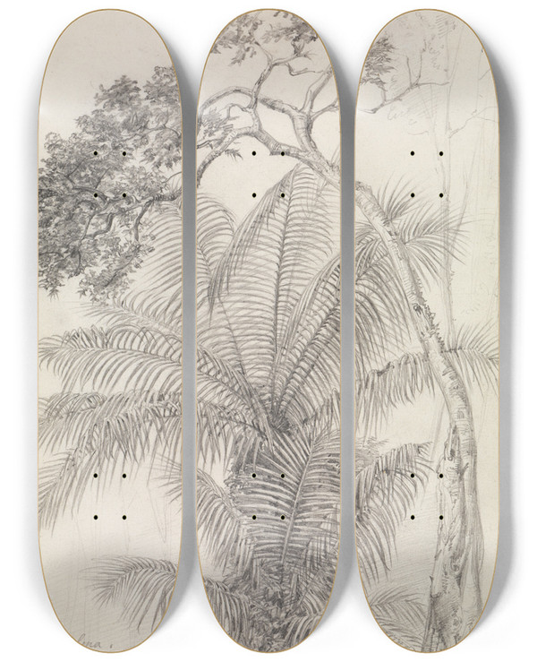 Triptych art skateboard deck of Ferdinand Keller Palmen Und Baumstudie by Ferdinand Keller (1842-1922)