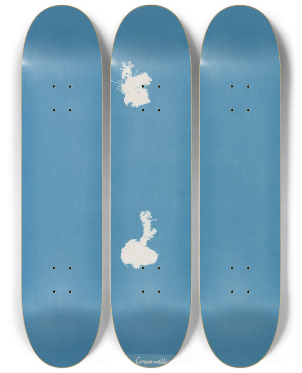 Triptych art skateboard deck of Anna Atkins Calothrix Cresswelliae by Anna Atkins (1799-1871)