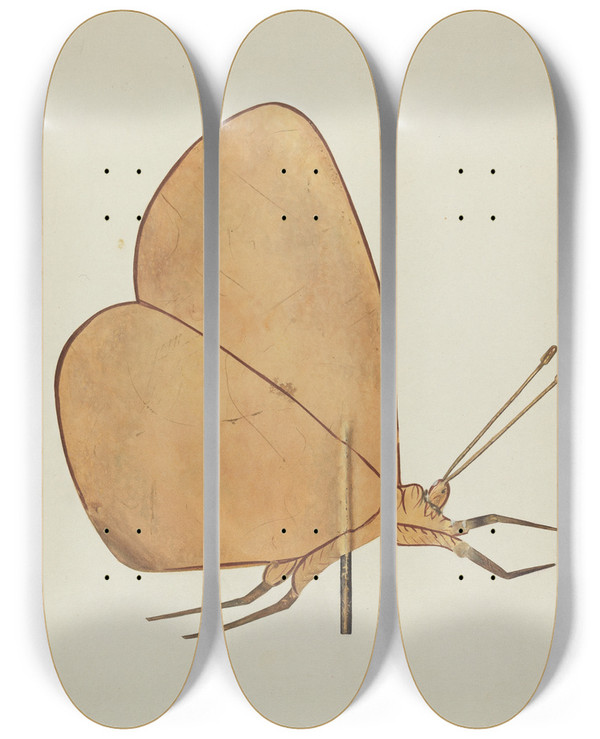 Triptych art skateboard deck of Hazel Hyde Butterfly Weather Vane by Hazel Hyde