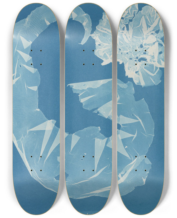 Triptych art skateboard deck of Anna Atkins Porphyra Laciniata by Anna Atkins (1799-1871)