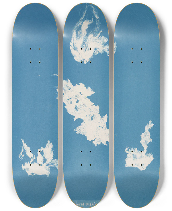 Triptych art skateboard deck of Anna Atkins Vaucheria Marina by Anna Atkins (1799-1871)