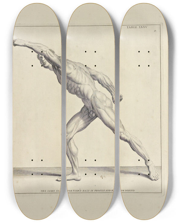 Triptych art skateboard deck of Michael Van Der Gucht Anatomy Improvd And Illustrated With Regard To The Uses Thereof In Designing Pl35 by Michael van der Gucht (1660-1725)