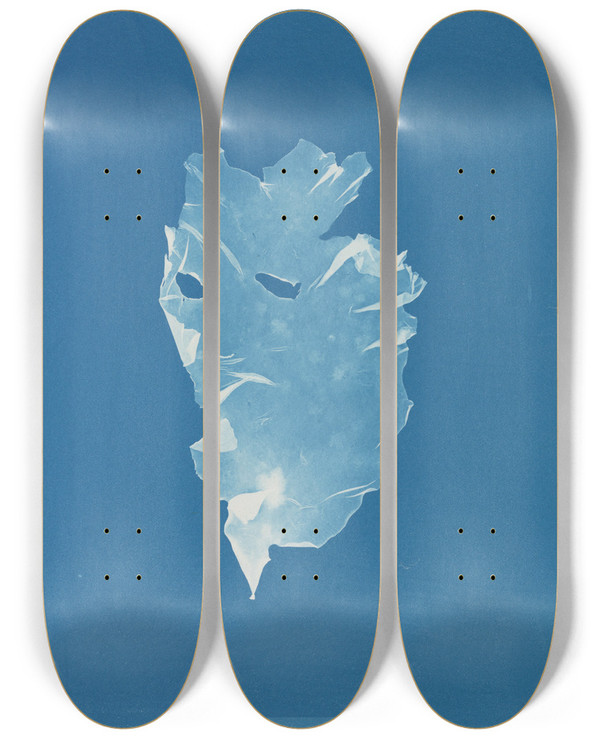 Triptych art skateboard deck of Anna Atkins Kalymenia Dubyi by Anna Atkins (1799-1871)