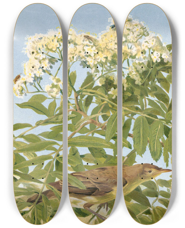 Triptych art skateboard deck of Lopaul Robert Hypolais Polyglotte by Leo Paul Robert (1851-1923)