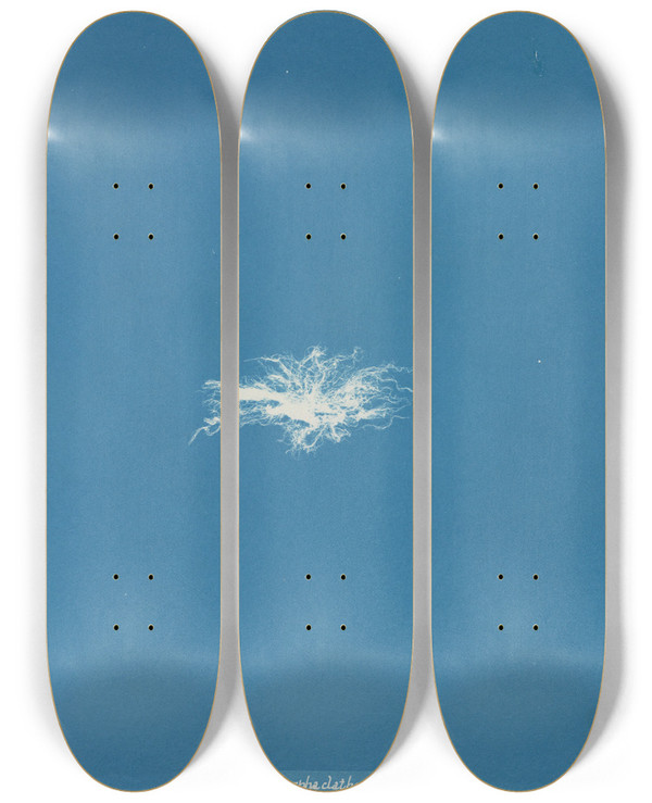 Triptych art skateboard deck of Anna Atkins Enteromorpha Clathrata by Anna Atkins (1799-1871)