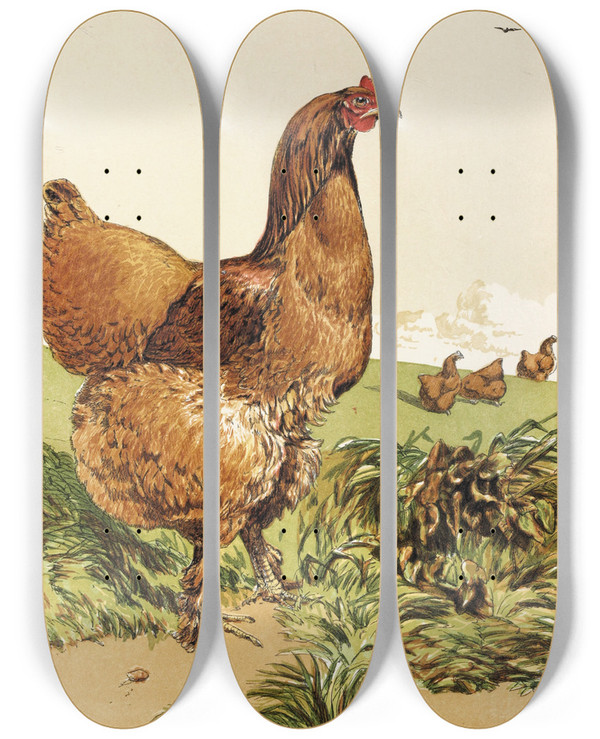 Triptych art skateboard deck of Harrison Weir Cinnamon Cochin Hen by Harrison Weir (1824-1906)