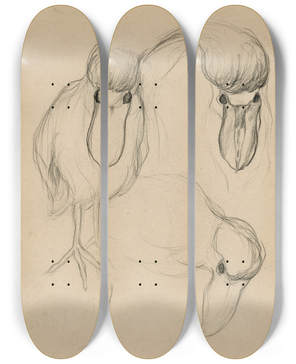 Triptych art skateboard deck of Theo Van Hoytema Een Dodo by Theo Van Hoytema (1863-1917)