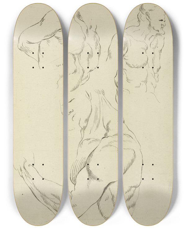 Triptych art skateboard deck of Peter Paul Rubens Studies Of A Mans Chest Biceps And Shoulders by Peter Paul Rubens (1577-1640)