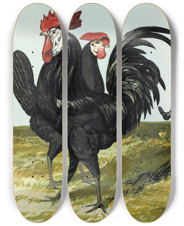Triptych art skateboard deck of Harrison Weir Spanish by Harrison Weir (1824-1906)