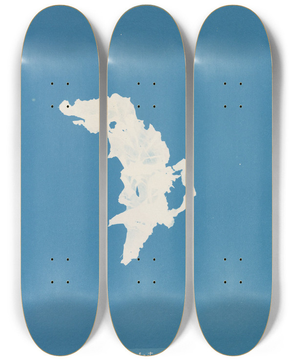 Triptych art skateboard deck of Anna Atkins Ulva Lactuca by Anna Atkins (1799-1871)