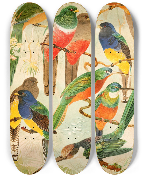 Triptych art skateboard deck of Emil August Gldi Hud Surucus Arirmbas Da Matta Virgem by Emil August Goldi (1859-1917)
