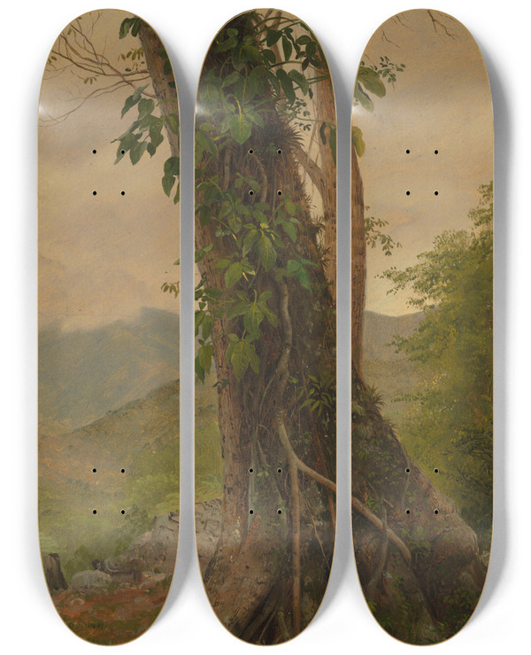 Triptych art skateboard deck of Frederic Edwin Church Tree With Vines Jamaica West Indies by Frederic Edwin Church (1826-1900)