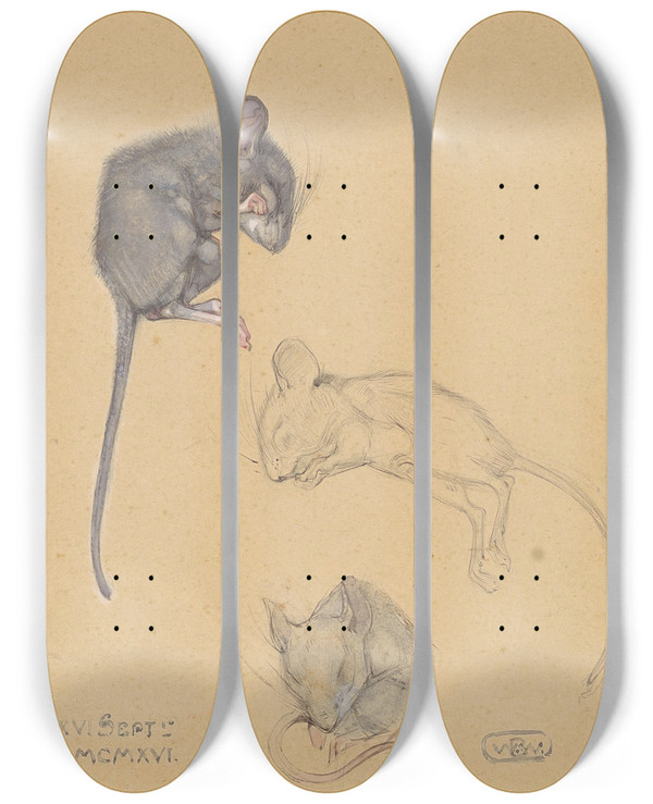 Triptych art skateboard deck of Bernard Willem Wierink Drie Studies Van Een Bosmuis by Bernard Willem Wierink (1856-1939)