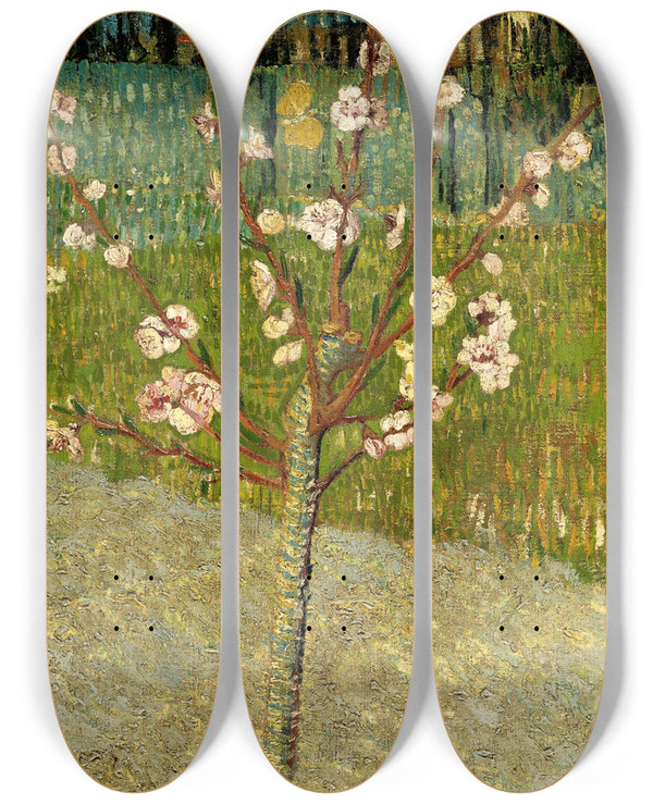 Triptych art skateboard deck of Vincent Van Gogh Almond Tree In Blossom by Vincent van Gogh (1853-1890)