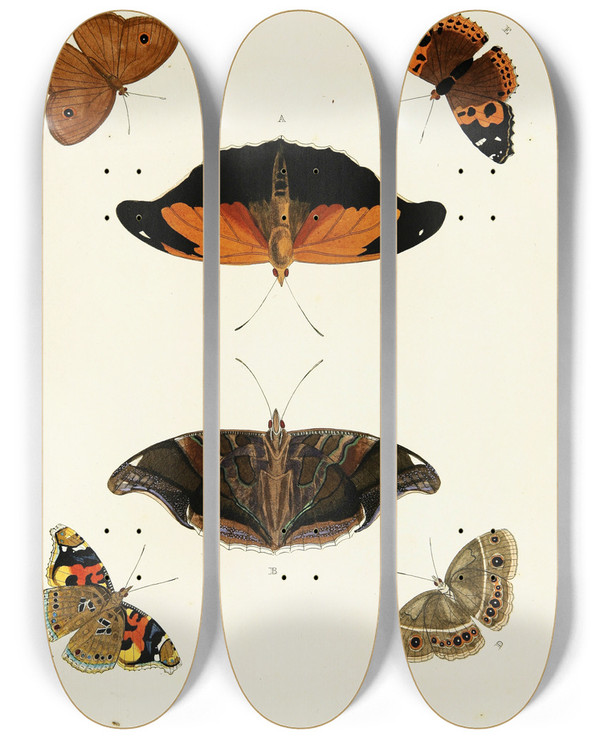 Triptych art skateboard deck of Pieter Cramer Foreign Butterflies Occurring In The Three Continents Asia Africa And America Pl331 by Pieter Cramer (1721-1776)