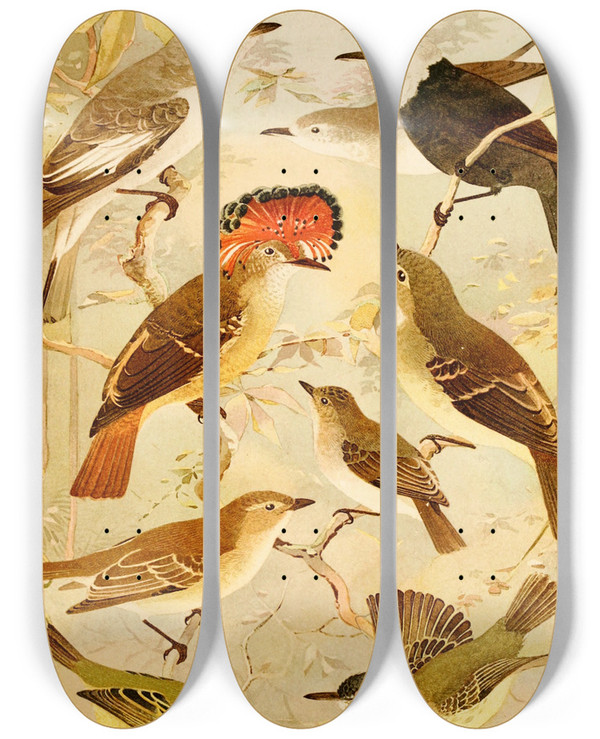 Triptych art skateboard deck of Emil August Gldi Viuvinha Lecre Ferreirinho by Emil August Goldi (1859-1917)