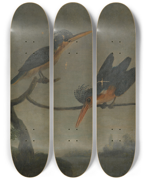 Triptych art skateboard deck of James Sowerby Two Kingfishers Beside A Lake_2 by James Sowerby (1757-1822)