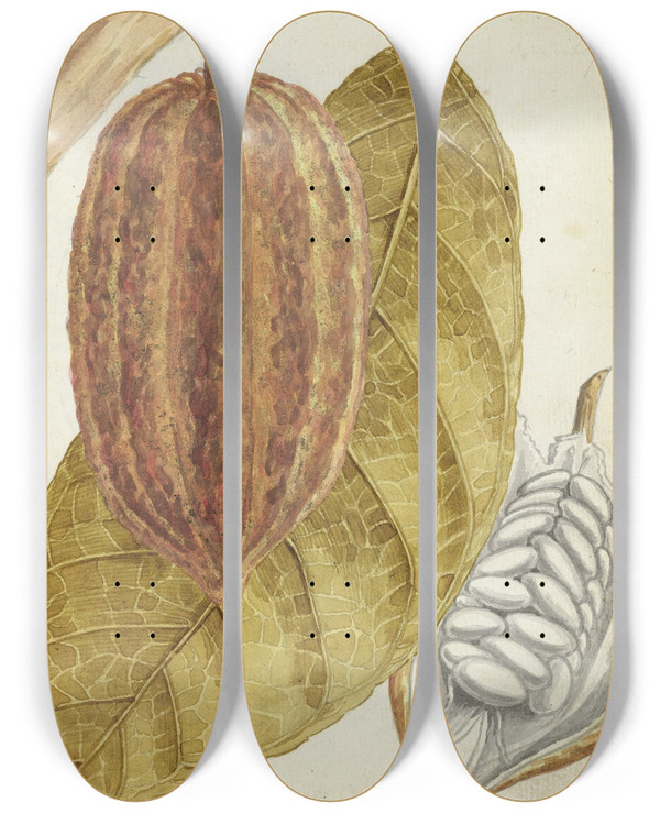 Triptych art skateboard deck of Jan Brandes Cacao by Jan Brandes (1743-1808)