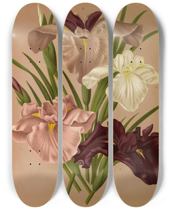 Triptych art skateboard deck of Arentina Hendrica Arendsen Iris Kaempferi Var by Arentina Hendrica Arendsen (1836-1915)