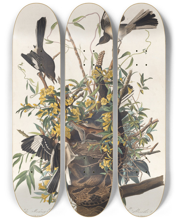 Triptych art skateboard deck of John James Audubon The Mocking Bird by John James Audubon (1785-1851)