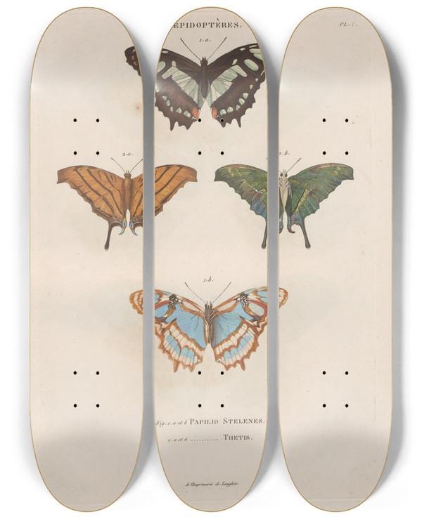 Triptych art skateboard deck of Jean Gabriel Pretre Insectes Recueillis En Afrique Et En Amrique Pl79 by Jean Gabriel Pretre (1768-1849)