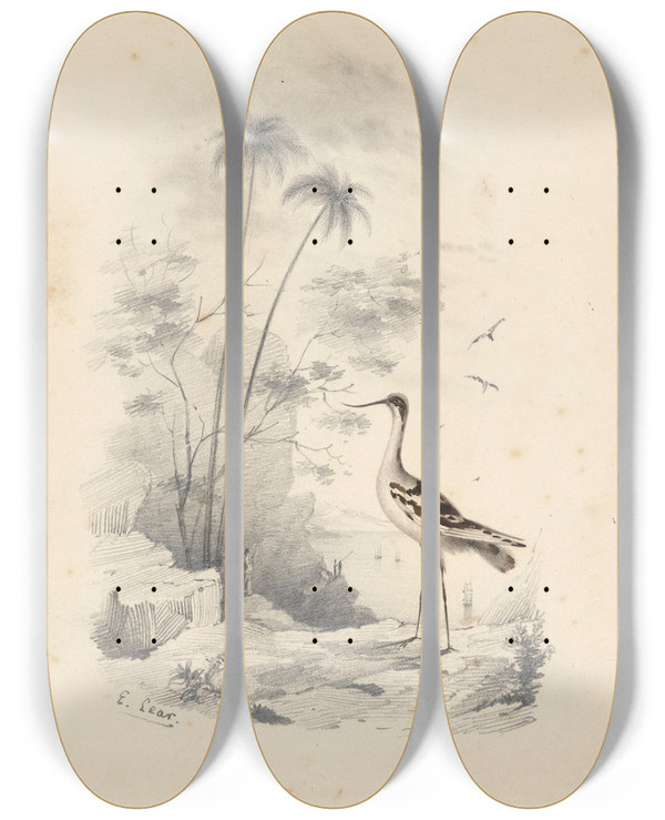 Triptych art skateboard deck of Edward Lear An Avocet by Edward Lear (1812-1888)