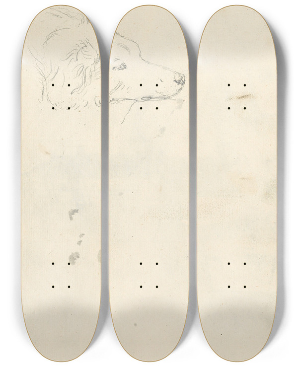 Triptych art skateboard deck of Joseph Wright Of Derby Head Of A Dog by Joseph Wright Of Derby (1734-1797)