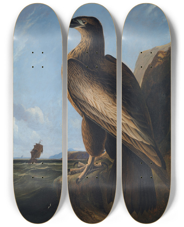 Triptych art skateboard deck of John James Audubon Washington Sea Eagle by John James Audubon (1785-1851)