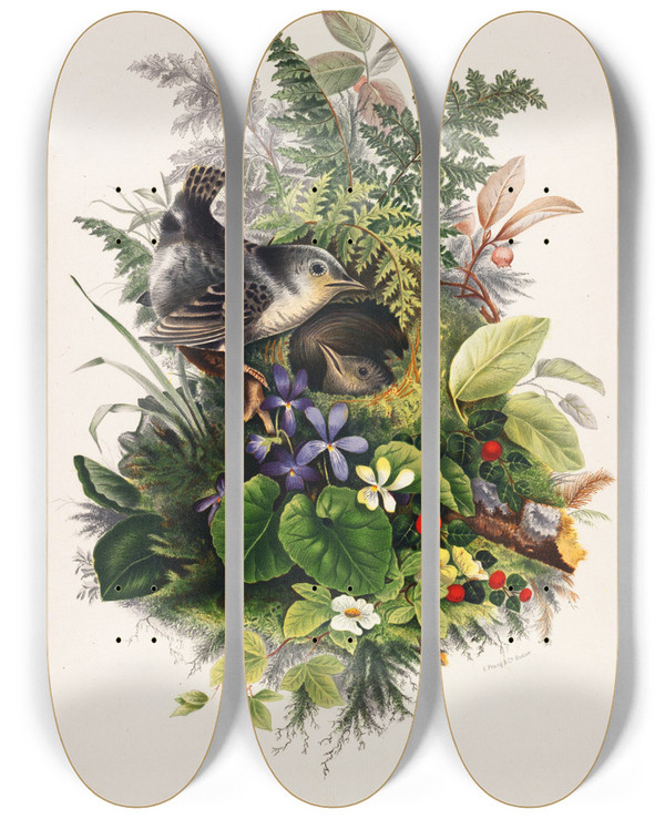 Triptych art skateboard deck of Olive E Whitney Birds by Olive E Whitney (1861-1897)