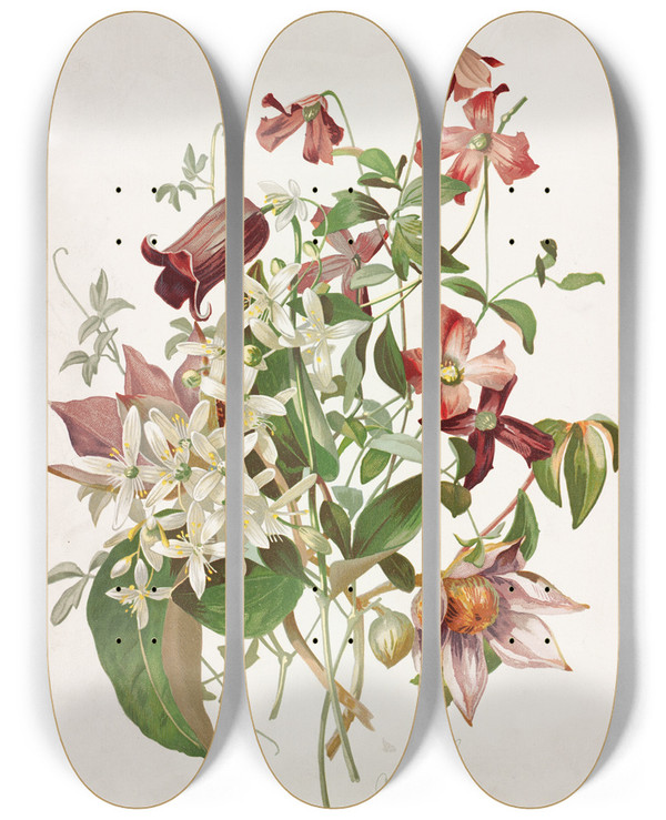 Triptych art skateboard deck of Alois Lunzer Clematis by Alois Lunzer (1840)