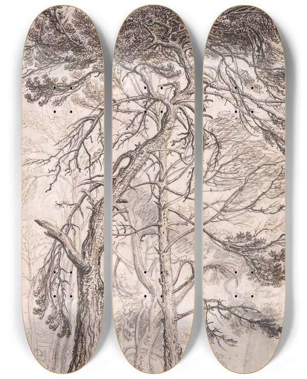 Triptych art skateboard deck of James Ward Study Of Trees by James Ward (1769-1859)
