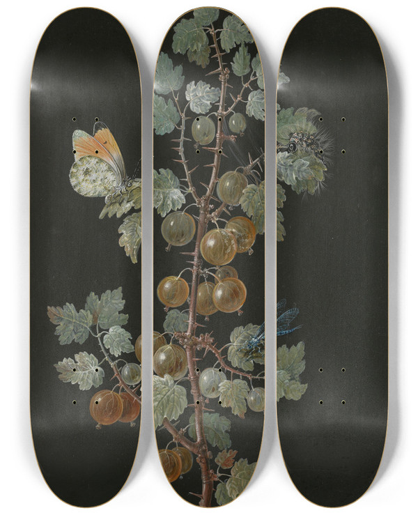 Triptych art skateboard deck of Barbara Regina Dietzsch A Branch Of Gooseberries With A Dragonfly An Orangetip Butterfly And A Caterpillar by Barbara Regina Dietzsch (1706-1783)