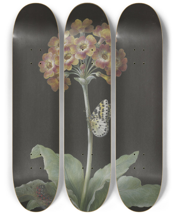 Triptych art skateboard deck of Barbara Regina Dietzsch Orangerote Aurikel Primula Auricula Mit Stachelbeerharlekin Und Sich Einspinnender Raupe by Barbara Regina Dietzsch (1706-1783)