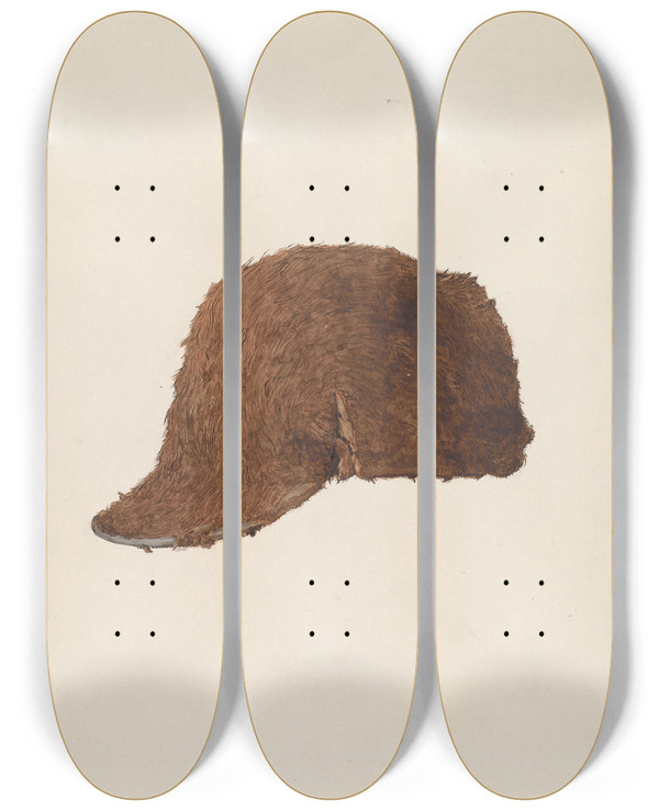 Triptych art skateboard deck of Dana Bartlett Sealskin Cap by Dana Bartlett