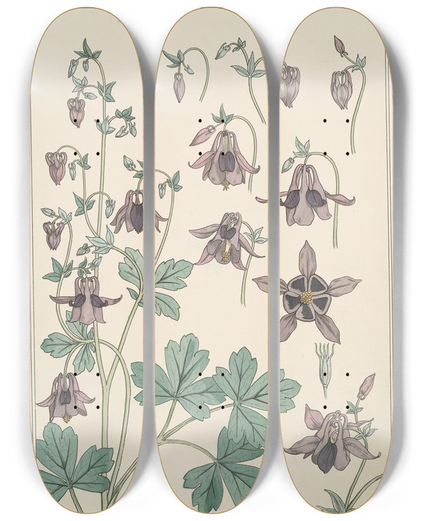 Triptych art skateboard deck of Maurice Pillard Verneuil Ancolie_1 by Maurice Pillard Verneuil (1869-1942)
