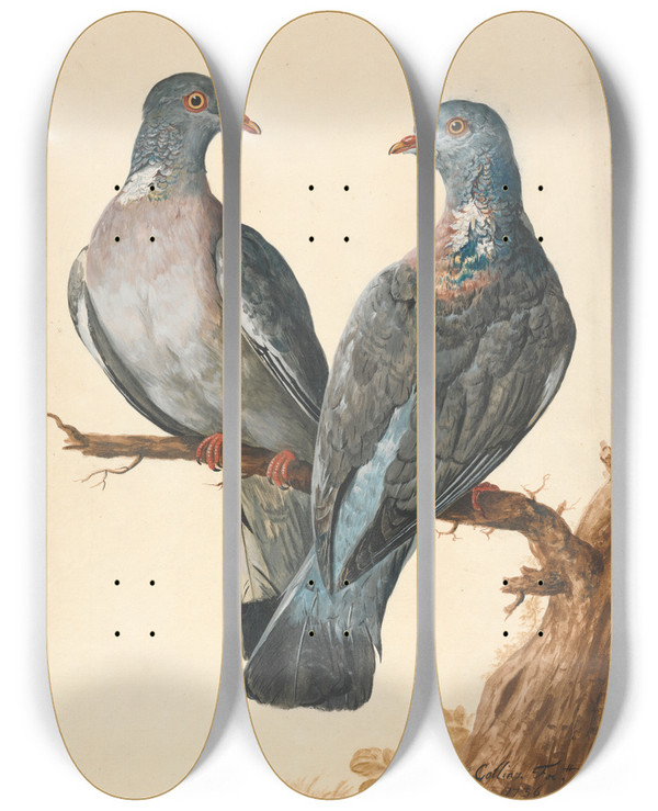 Triptych art skateboard deck of Charles Collins Two Wood Pigeons by Charles Collins (1680-1744)