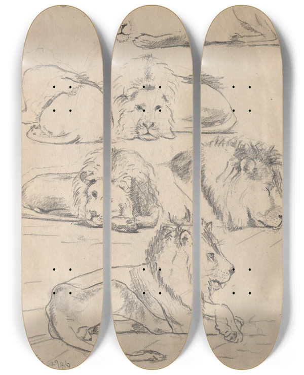 Triptych art skateboard deck of John Haberle Studies Oflions by John Haberle (1856-1933)