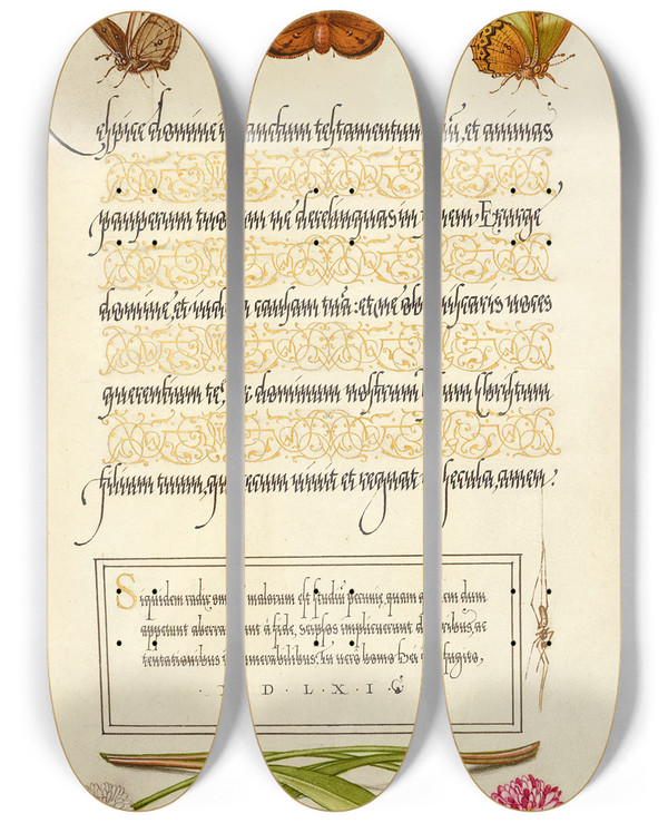 Triptych art skateboard deck of Joris Hoefnagel Butterflies Moth Spider And English Daisies by Joris Hoefnagel (1542-1600)