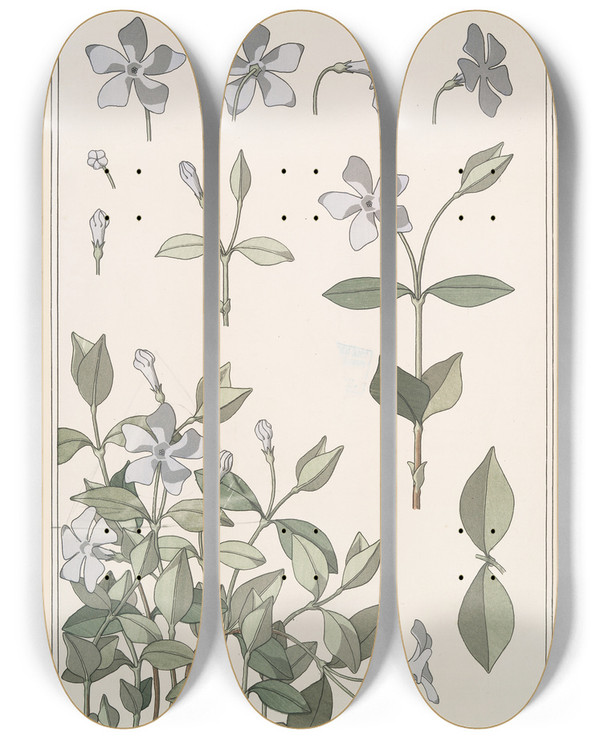 Triptych art skateboard deck of Maurice Pillard Verneuil Pervenche by Maurice Pillard Verneuil (1869-1942)