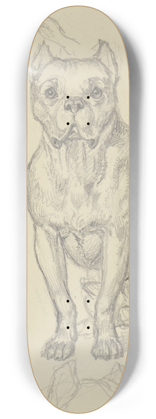 Ferdinand Fellner - Sitting dog, en face 8.25 inch art skate deck
