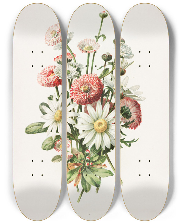 Triptych art skateboard deck of Alois Lunzer Daisies by Alois Lunzer (1840)