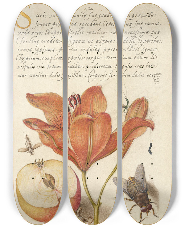 Triptych art skateboard deck of Joris Hoefnagel Insects Orange Lily Caterpillar Apple And Horse Fly by Joris Hoefnagel (1542-1600)