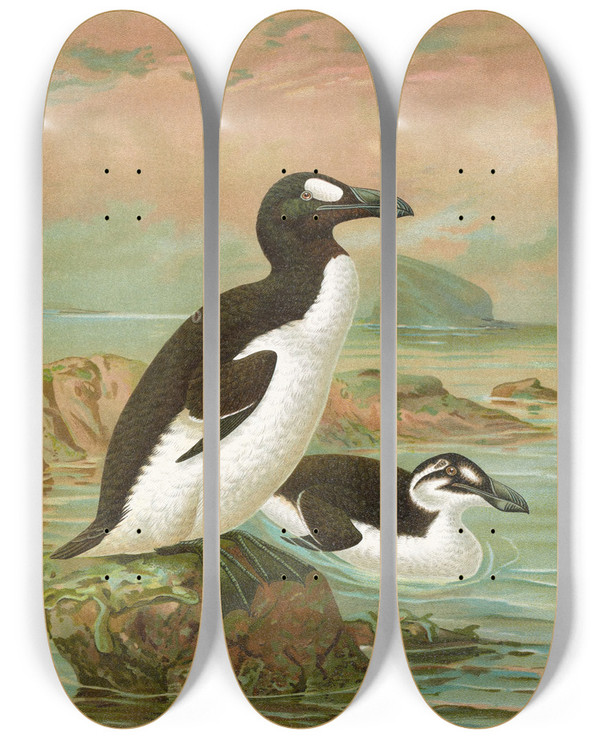Triptych art skateboard deck of Johann Friedrich Naumann Alca Impennis L Riesenalk by Johann Friedrich Naumann (1780-1857)