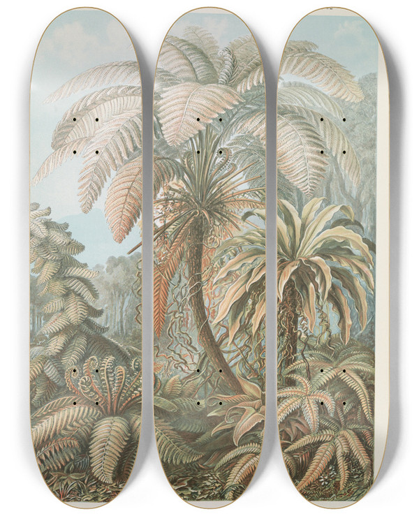 Triptych art skateboard deck of Ernst Haeckel Filicinae Laubfarne_2 by Ernst Haeckel (1834-1919)