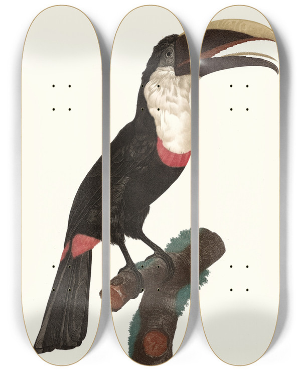 Triptych art skateboard deck of Jacques Barraband Le Tocards by Jacques Barraband (1767-1809)