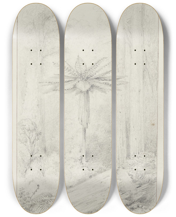 Triptych art skateboard deck of William Swainson Soft Leaved Tree Fern Upper Hutt by William Swainson (1789-1855)