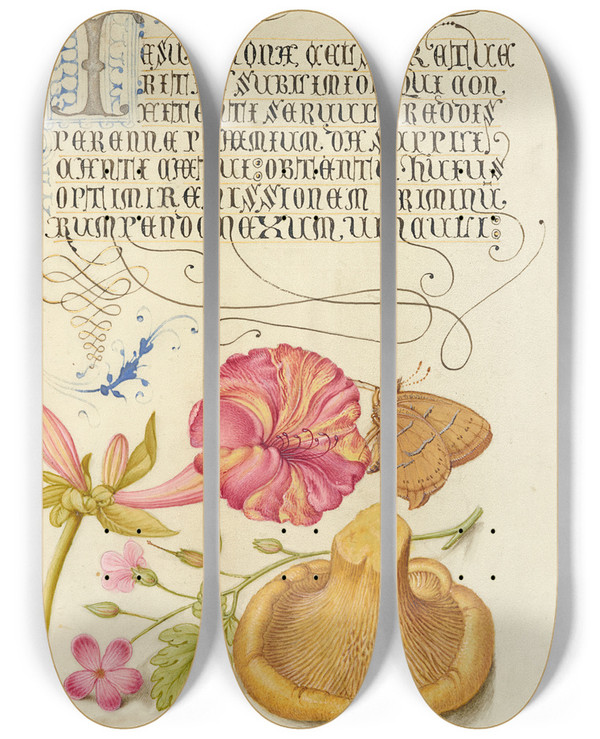Triptych art skateboard deck of Joris Hoefnagel Fouroclock Brown Hairstreak Herb Robert And Chanterelle by Joris Hoefnagel (1542-1600)